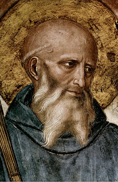 Detail: Kopf des Hl. Benedikt, Fra Angelico